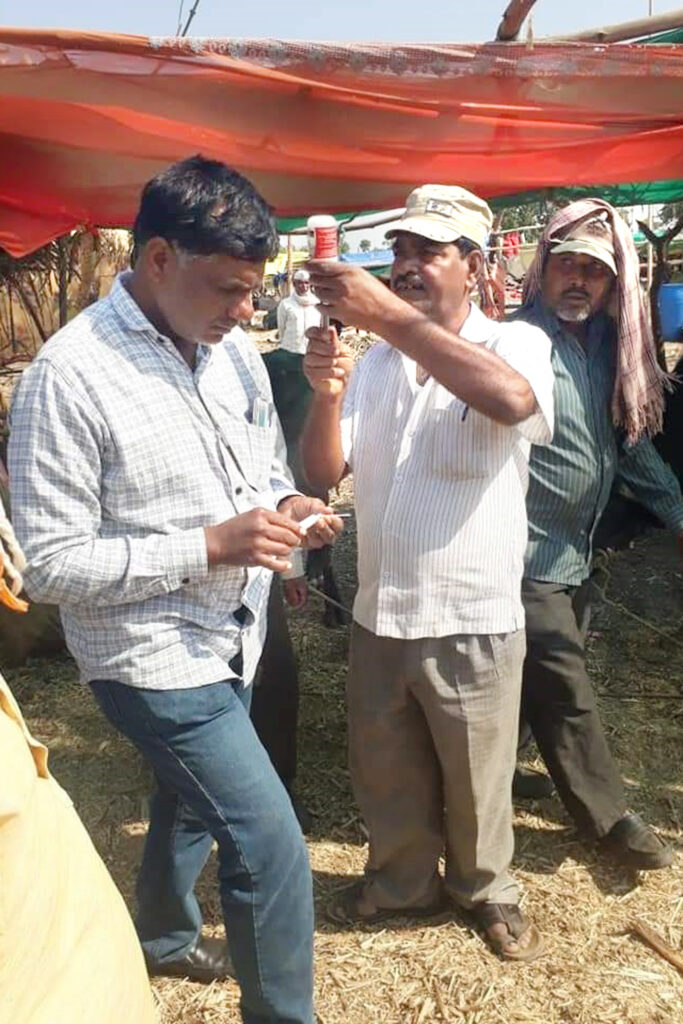 The current image has no alternative text. The file name is: Animals-1.jpg